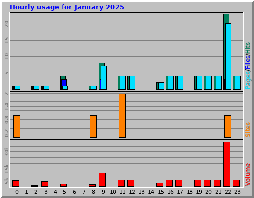 Hourly usage for January 2025