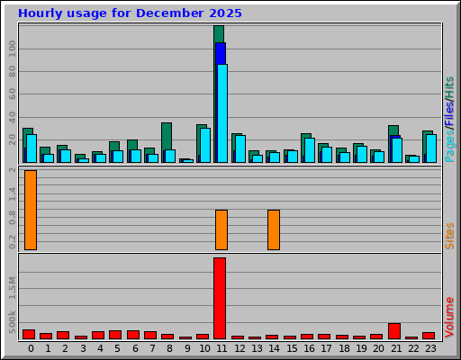 Hourly usage for December 2025