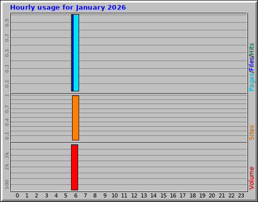 Hourly usage for January 2026