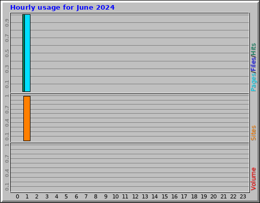 Hourly usage for June 2024