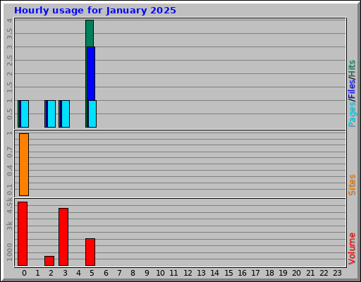 Hourly usage for January 2025