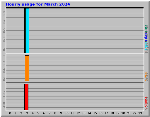 Hourly usage for March 2024